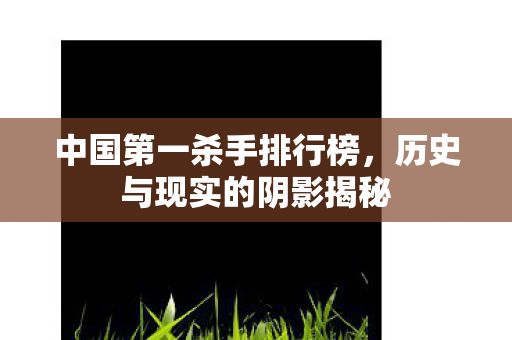 历史与现实的阴影揭秘图片
