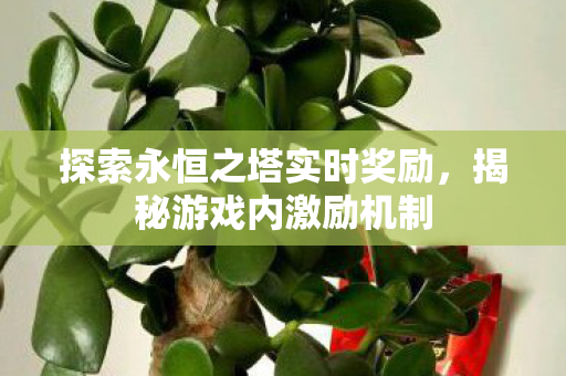 探索永恒之塔实时奖励图片