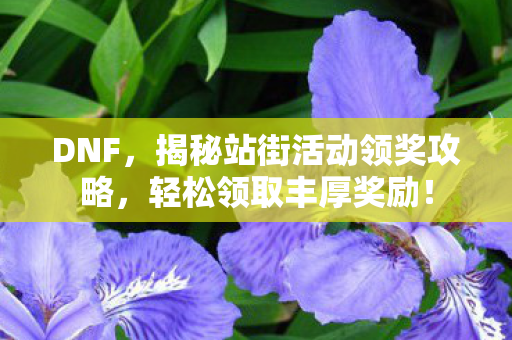 揭秘站街活动领奖攻略图片