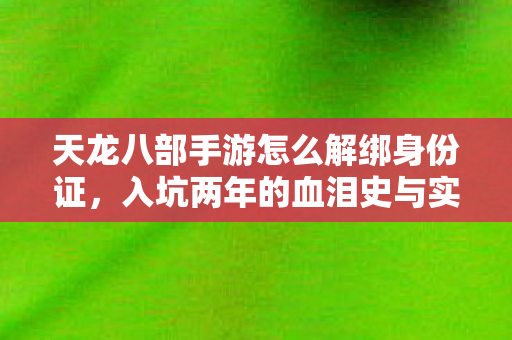 入坑两年的血泪史与实用攻略大揭秘图片