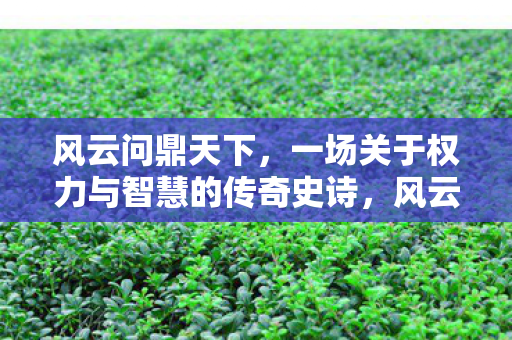 风云问鼎天下,一场关于权力与智慧的传奇史诗,风云问鼎,权力与智慧的传奇史诗 风云问鼎天下,一场关于权力与智慧的传奇史诗,风云问鼎,权力与智慧的传奇史诗