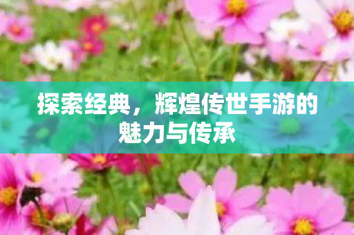 辉煌传世手游的魅力与传承图片