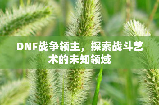 探索战斗艺术的未知领域图片