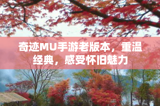 奇迹MU手游老版本图片