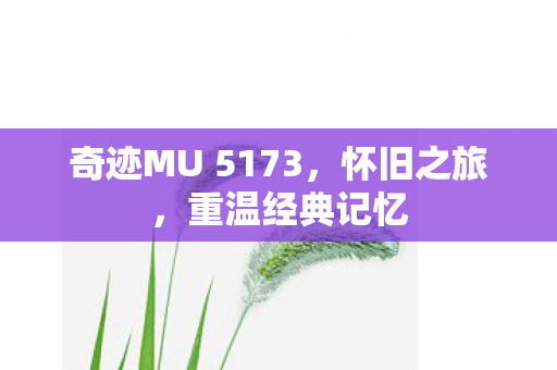奇迹MU 5173图片