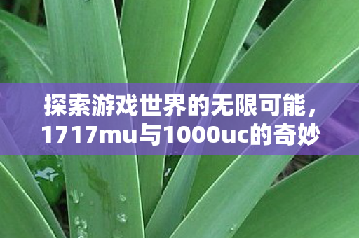1717mu与1000uc的奇妙之旅图片