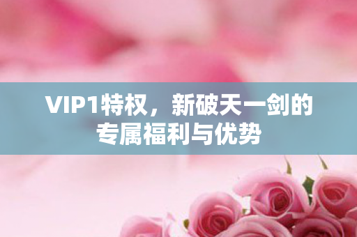 新破天一剑的专属福利与优势图片