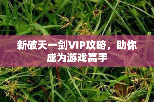 新破天一剑VIP攻略图片