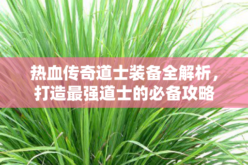热血传奇道士装备全解析图片