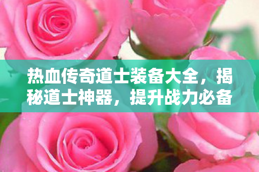 热血传奇道士装备大全图片