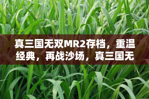 真三国无双MR2存档图片