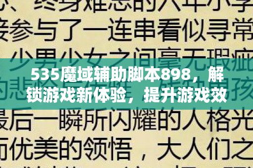 535魔域辅助脚本898图片