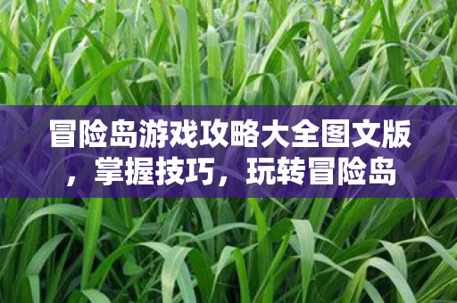 冒险岛游戏攻略大全图文版图片
