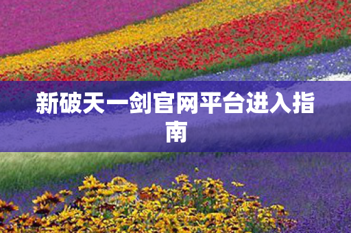 新破天一剑官网平台进入指南图片