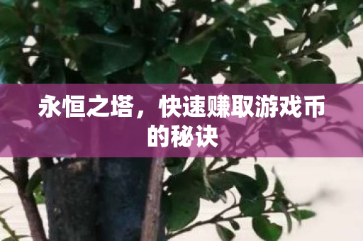 快速赚取游戏币的秘诀图片