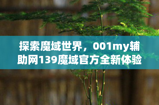 001my辅助网139魔域官方全新体验图片