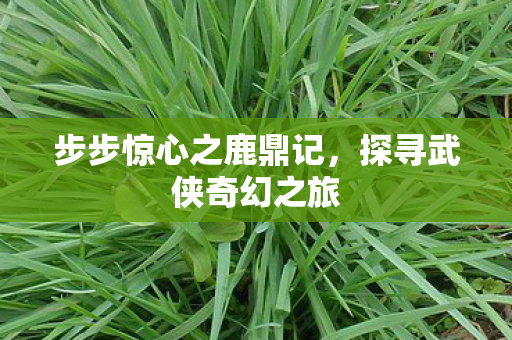 步步惊心之鹿鼎记图片