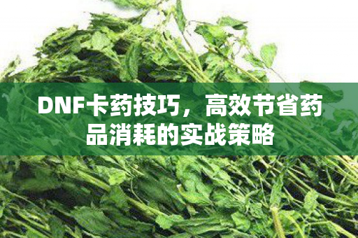 高效节省药品消耗的实战策略图片