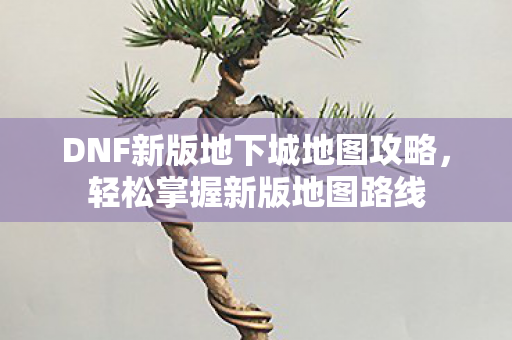 DNF新版地下城地图攻略，轻松掌握新版地图路线