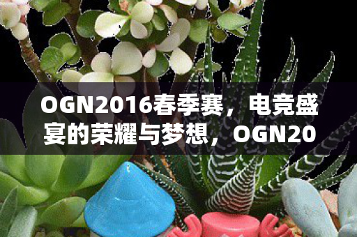 OGN2016春季赛图片
