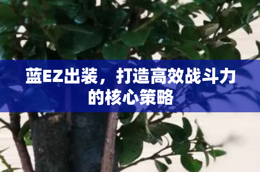 打造高效战斗力的核心策略图片