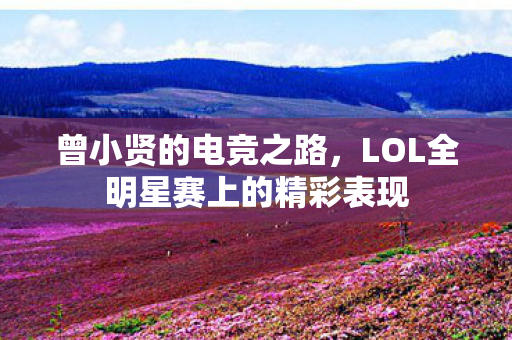 LOL全明星赛上的精彩表现图片