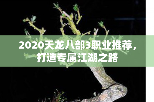 2020天龙八部3职业推荐图片