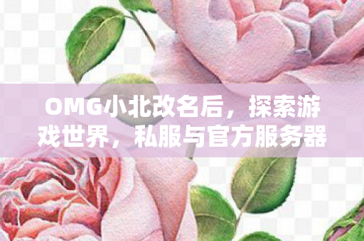 私服与官方服务器魅力对比图片