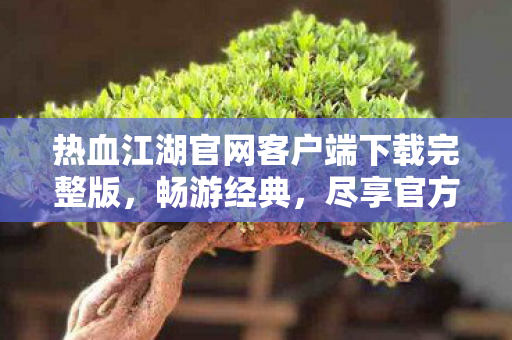 热血江湖官网客户端下载完整版图片