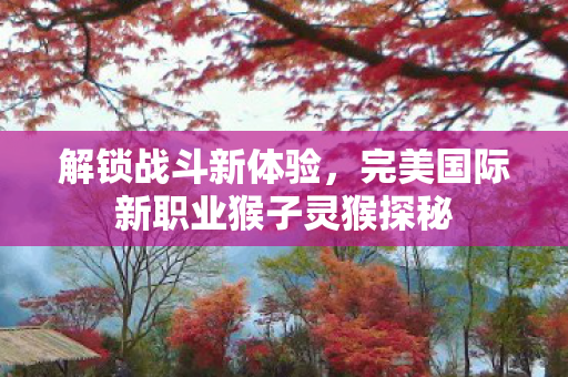 完美国际新职业猴子灵猴探秘图片