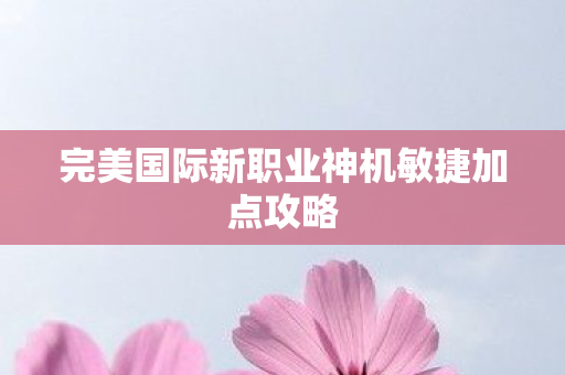 完美国际新职业神机敏捷加点攻略图片