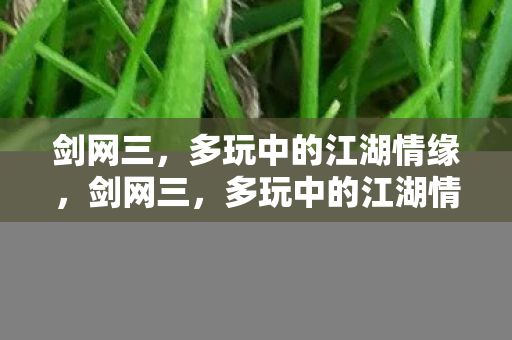 剑网三,多玩中的江湖情缘,剑网三,多玩中的江湖情缘 剑网三,多玩中的江湖情缘,剑网三,多玩中的江湖情缘