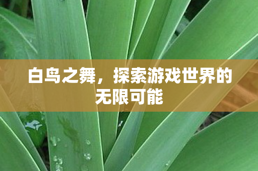 探索游戏世界的无限可能图片