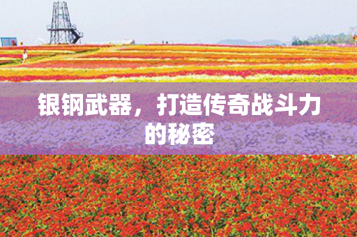 打造传奇战斗力的秘密图片