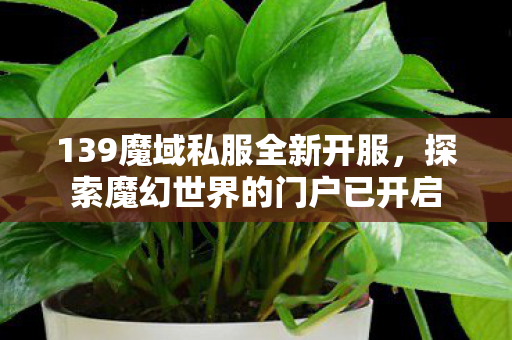 探索魔幻世界的门户已开启图片