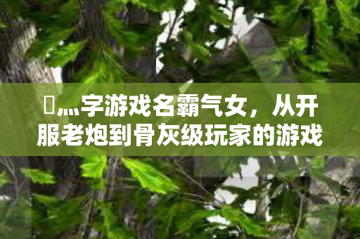 从开服老炮到骨灰级玩家的游戏血路图片