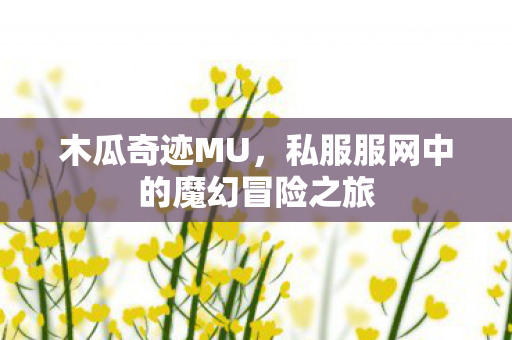 私服服网中的魔幻冒险之旅图片