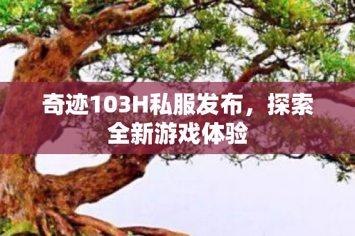 奇迹103H私服发布图片