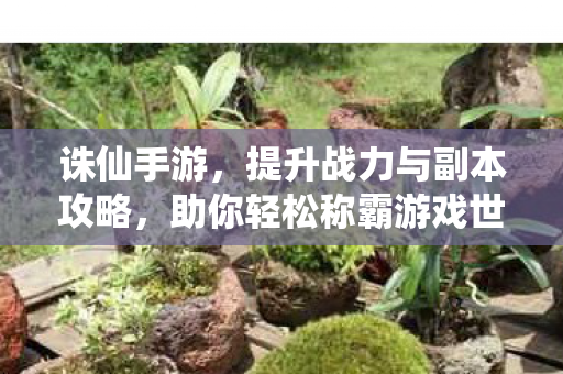 助你轻松称霸游戏世界图片