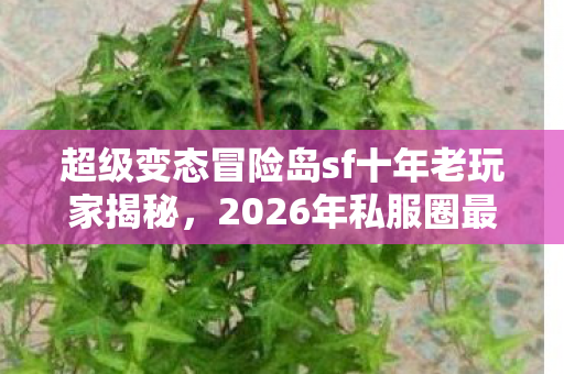 2026年私服圈最新避坑指南与玩法心得图片