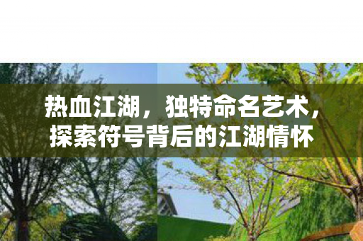 探索符号背后的江湖情怀图片