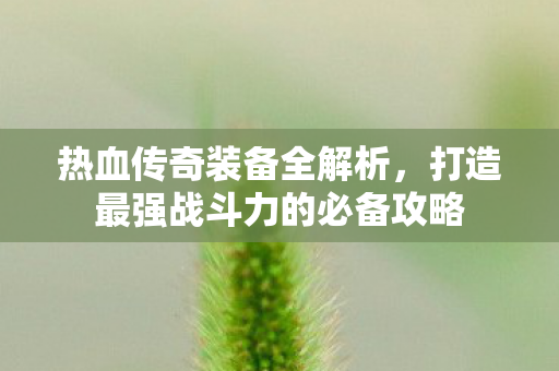 打造最强战斗力的必备攻略图片