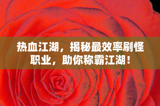 揭秘最效率刷怪职业图片