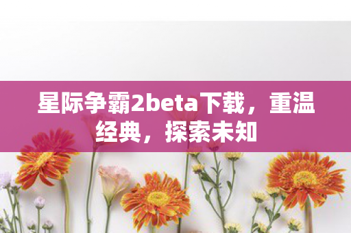星际争霸2beta下载图片