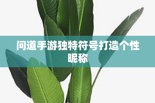 问道手游独特符号打造个性昵称图片