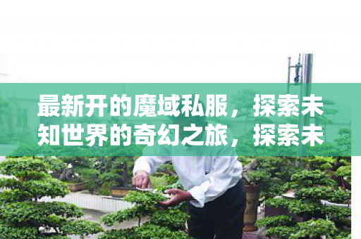 最新开的魔域私服,探索未知世界的奇幻之旅,探索未知世界的奇幻之旅,最新魔域私服开启 最新开的魔域私服,探索未知世界的奇幻之旅,探索未知世界的奇幻之旅,最新魔域私服开启