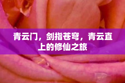 青云直上的修仙之旅图片