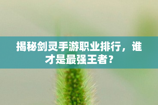 揭秘剑灵手游职业排行图片