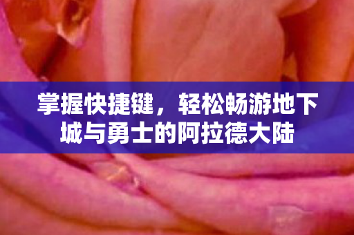 掌握快捷键，轻松畅游地下城与勇士的阿拉德大陆