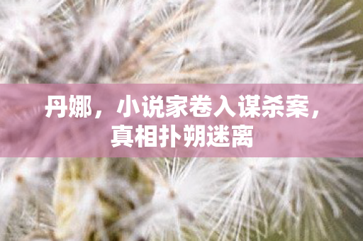 小说家卷入谋杀案图片